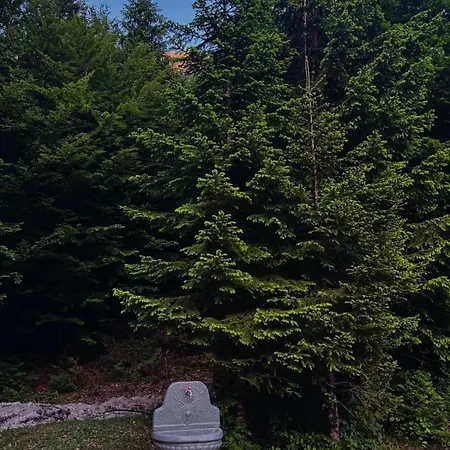 Private Flori Orman Evi