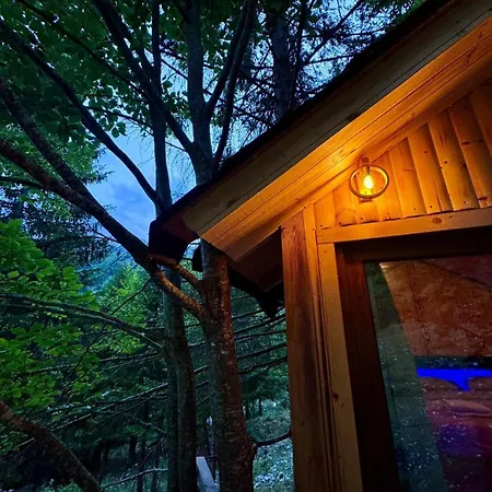 Private Flori * فالبني