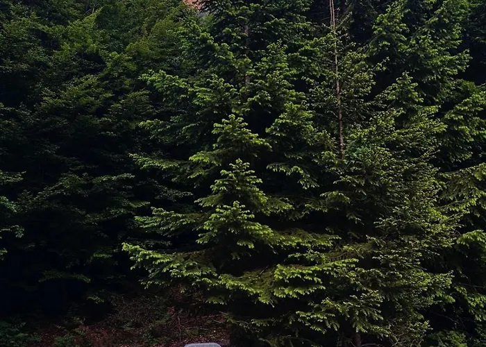 Private Flori Jaktstuga